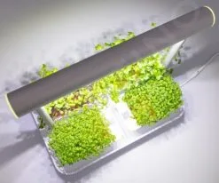 LeafLearn Mini Starter Pack - L‘orto Smart Per La Coltivazione Di Microgreens + 4 Capsule Incluse Nella Confezione MLL0132 -Filtraggio negozio 0faf90073d02c403801b60f9