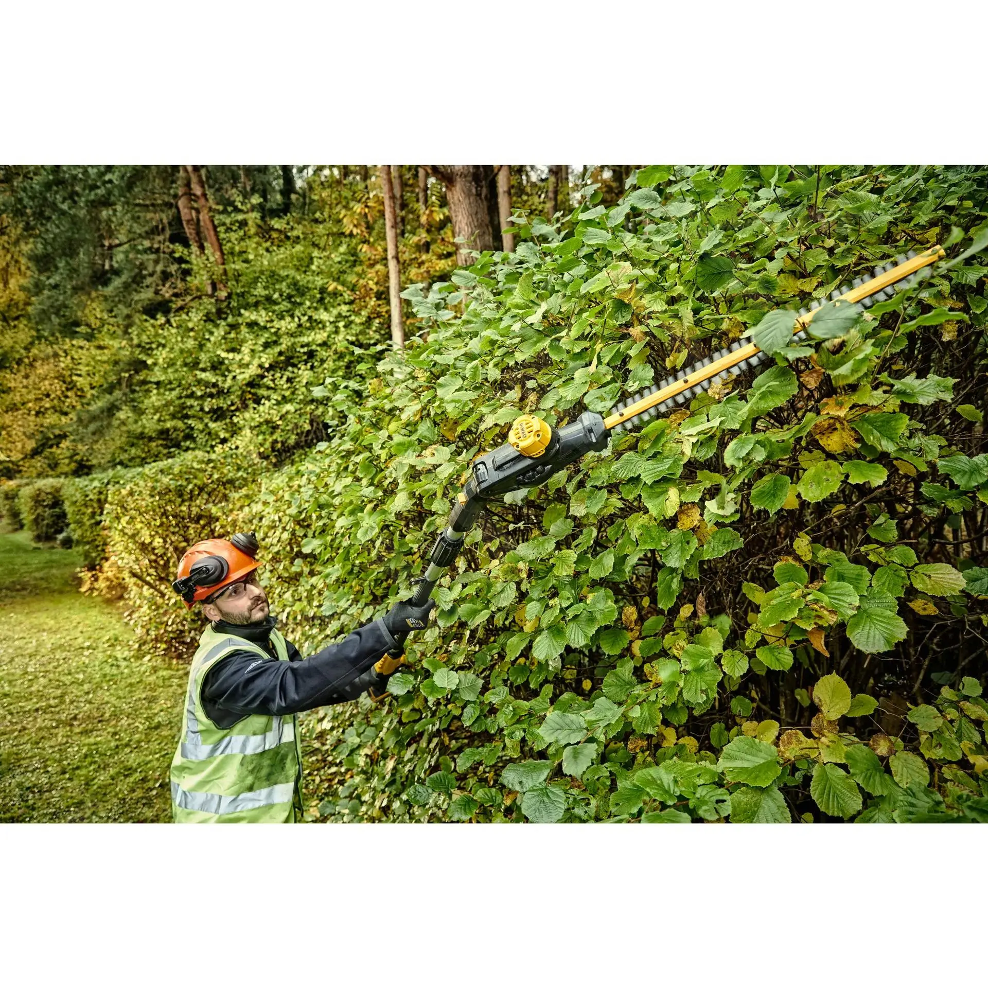 Filtraggio negozio -Filtraggio negozio 3d8d14dc1575d7da08f835ad 1