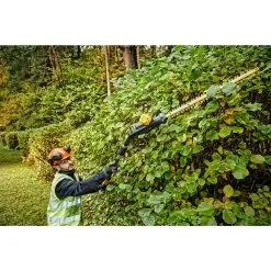 DeWALT Utensili - Tagliasiepi AKU Estensibile 18V 1 X Batteria 5,0 Ah XR DCMPH566P1 -Filtraggio negozio 3d8d14dc1575d7da08f835ad