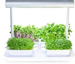 LeafLearn Mini Starter Pack - L‘orto Smart Per La Coltivazione Di Microgreens + 4 Capsule Incluse Nella Confezione MLL0132