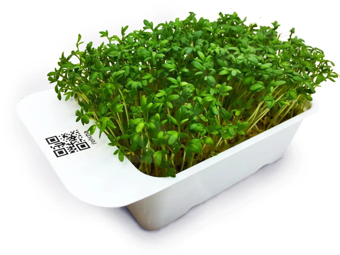 LeafLearn Capsule - Microgreens Crescione MLL0001 3 LeafLearn Capsule - Microgreens Crescione MLL0001