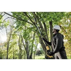 DeWALT Utensili - Potatore Telescopico AKU 18V, 1x Batteria 5,0 Ah XR DCMPS567P1 -Filtraggio negozio 7c3b8da836955aea4f5aa8ae